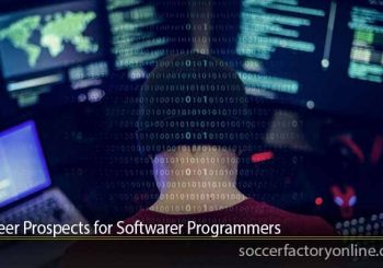 Career Prospects for Softwarer Programmers 
